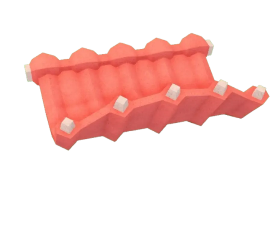Ribs-Uncooked